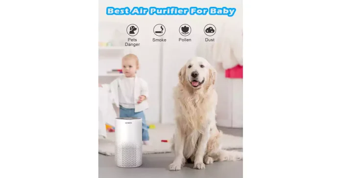 Best Air Purifier For Baby