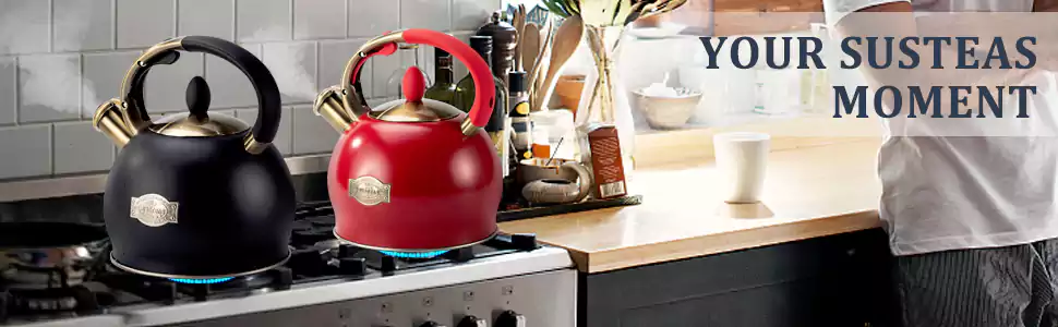 12 Best Tea Kettle For Gas Stove